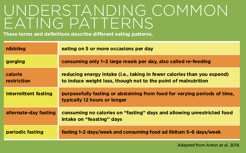 Meal Eating Patterns